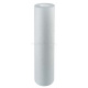 Atlas Filtri CPP 10" SX 10 mcr (RA5706509)