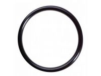 Bonomi Пресс ризиновое уплотнительное кольцо d26 (4001E626) Bonomi - 1