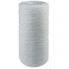 Atlas Filtri FA BIG 10" SX 10 mcr (RE5115509)