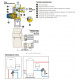 ний (група безпеки d1/2" 4 kW + сифон Ø25/32) (526142) KIT