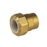 Bianchi Переходник латунный d20 х 1/2" В для ПЭ труб (6100043000)