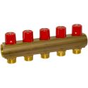 Bianchi Коллектор с вентилями d1" х 6 х 3/4" НР (red/красный) I-50 мм (236E06050A)