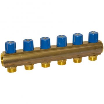 Bianchi Коллектор с вентилями d1" х 6 х 3/4" НР (blue/синий) I-50 мм (236E06050D)