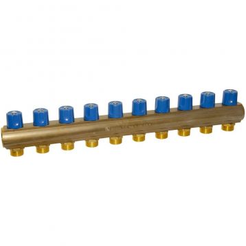 Bianchi Коллектор с вентилями d1" х 10 х 3/4" НР (blue/синий) I-50 мм (240E06050D)