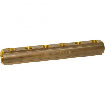 Bianchi Коллектор d1" х 6 х 1/2" ВР латунь с отверстием для ПВ 3/8" I-50 мм (256A060400)