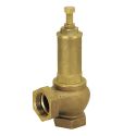 447B Мембранный клапан Ø2" x 3÷10 bar с настройкой 0÷110°C (140°C) BIANCHI F.lli S.p.A. (447B000910)