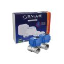 NEW Комплект защиты от протечки на две точки WLS Smart STANDARD (2E-HC220B-1/2) SALUS Controls (615841154)