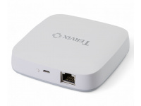 401111 Провідний Ethernet контролер Tervix ZigBee Wired Gateway